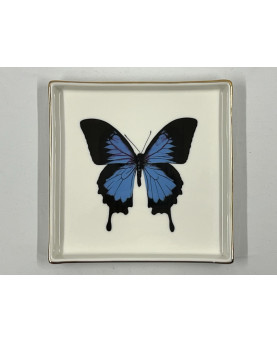 Blue Butterfly Pocket Tray 16x16